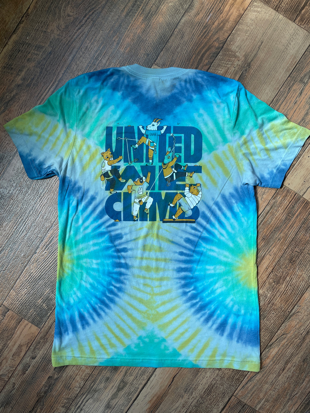 American Alpine Club United We Climb Blue and Green Tie Dye Short Sleeve T-Shirt | Men's Medium