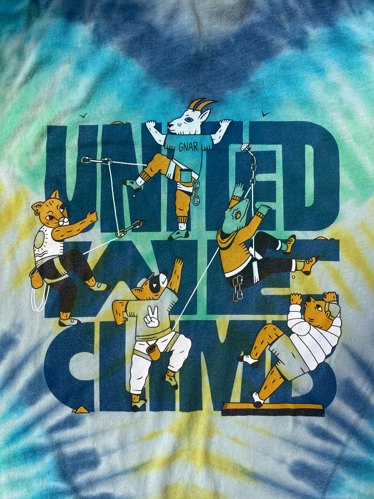 American Alpine Club United We Climb Blue and Green Tie Dye Short Sleeve T-Shirt | Men's Medium