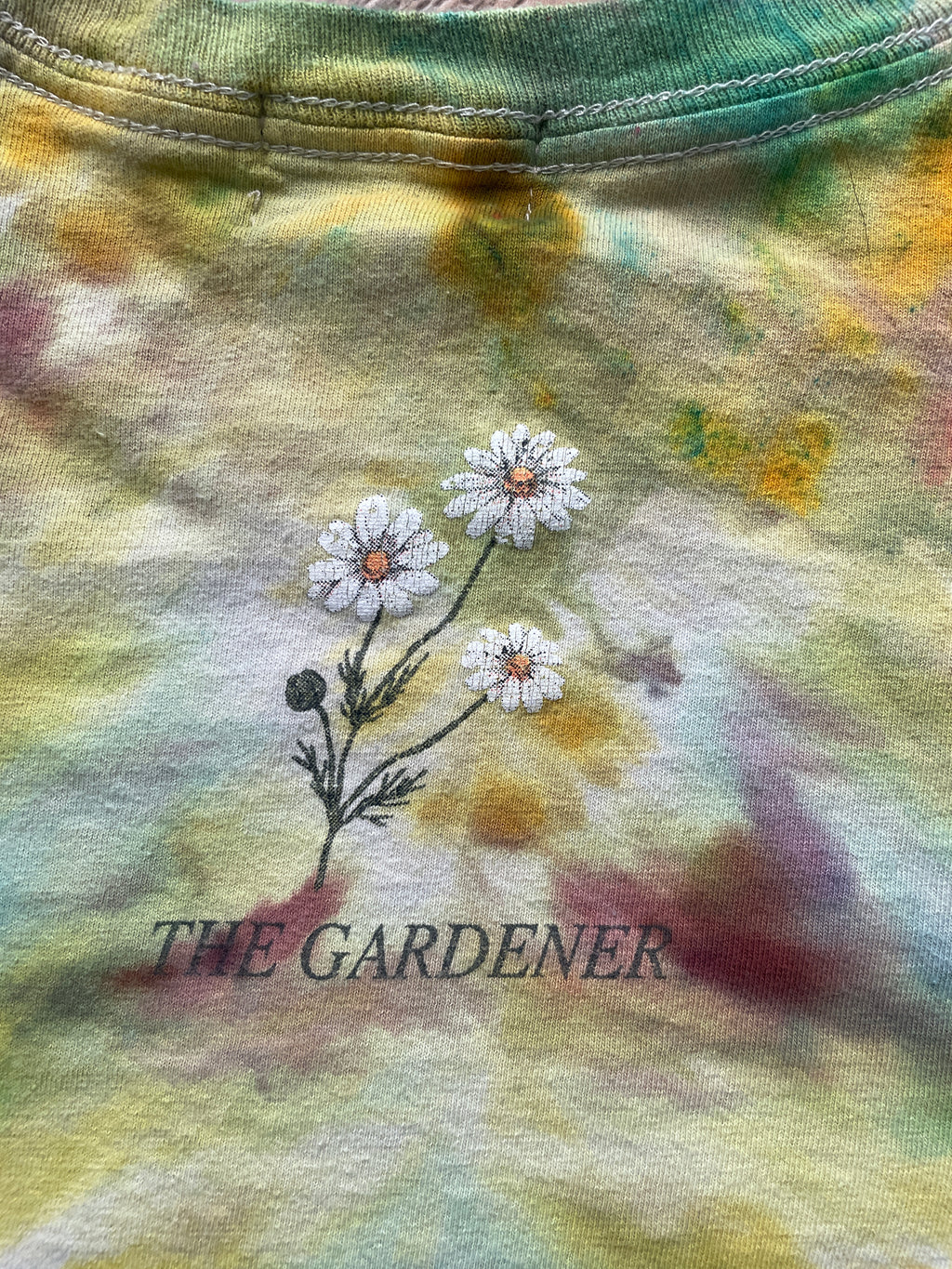 "The Gardener" Pastel Multicolor Ice Dye Short Sleeve Cropped T-Shirt | Women's Large