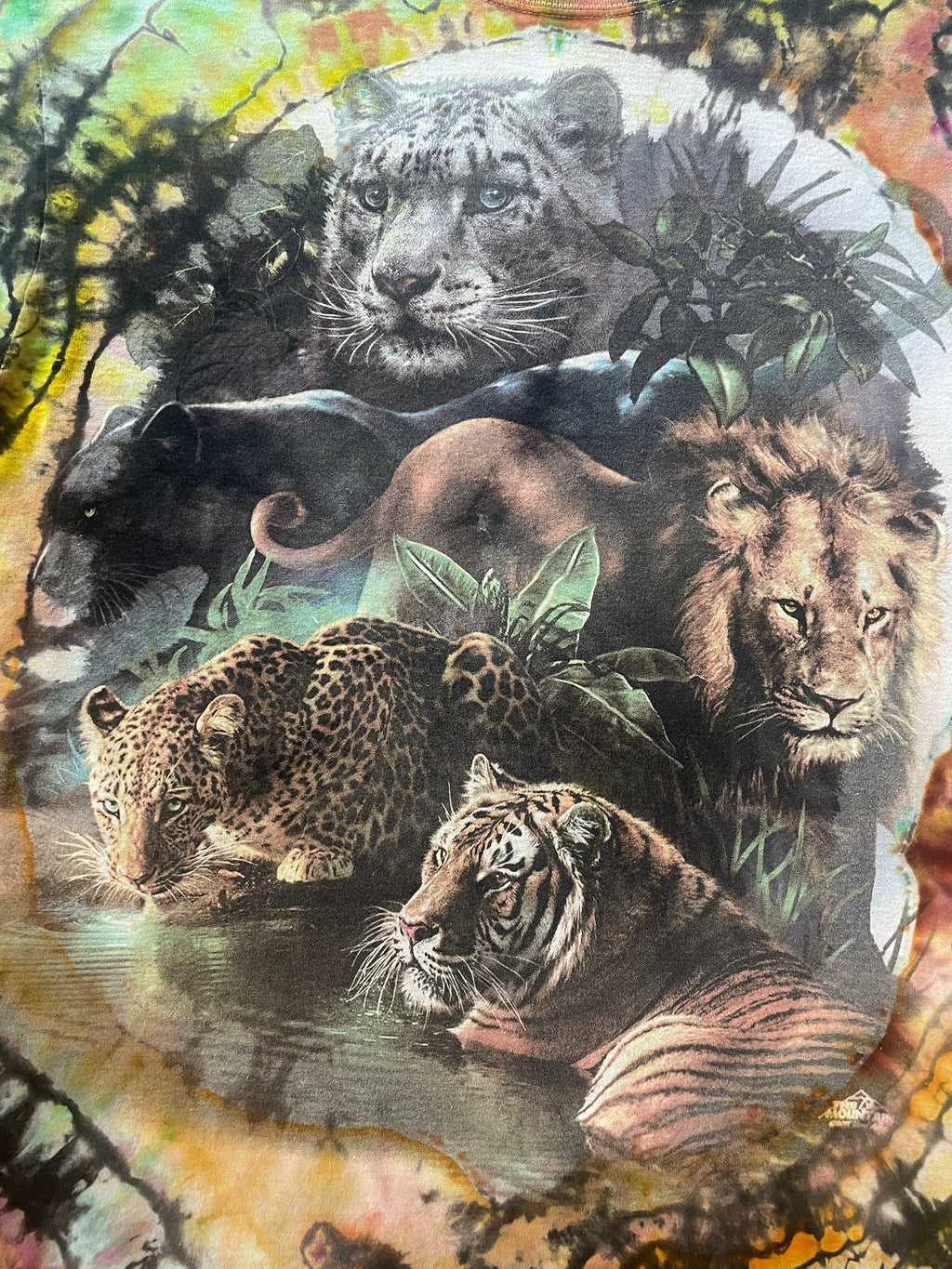 Jungle Cats Rainbow Reverse Tie Dye Short Sleeve T-Shirt | Men's Large