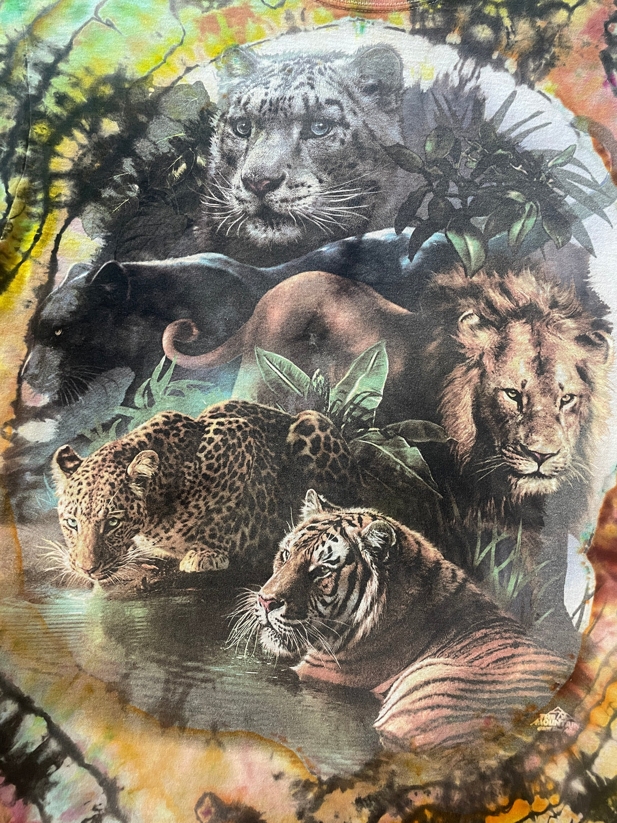Jungle Cats Rainbow Reverse Tie Dye Short Sleeve T-Shirt | Men's Large