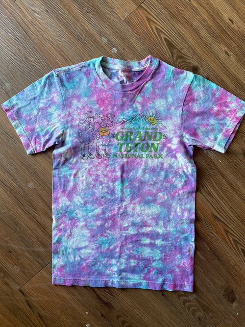 EXTRA SMALL Men’s Grand Teton National Park T-Shirt | Wyoming Mountain Moose Handmade Pastel Galaxy Tie Dye Short Sleeve