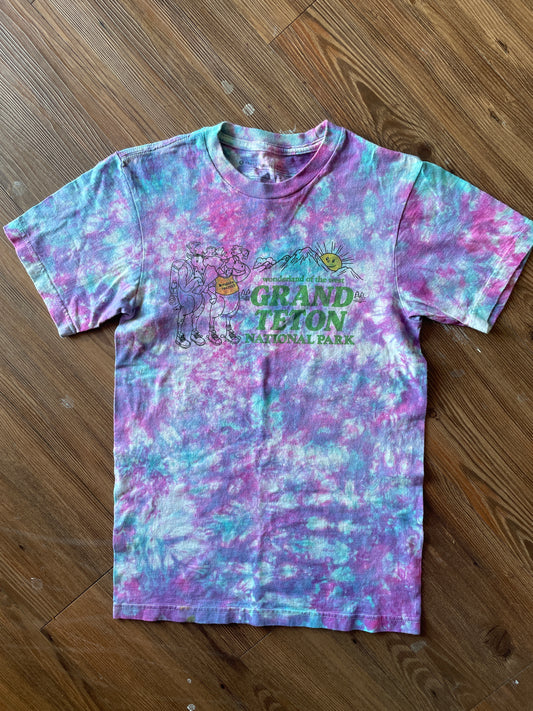 EXTRA SMALL Men’s Grand Teton National Park T-Shirt | Wyoming Mountain Moose Handmade Pastel Galaxy Tie Dye Short Sleeve